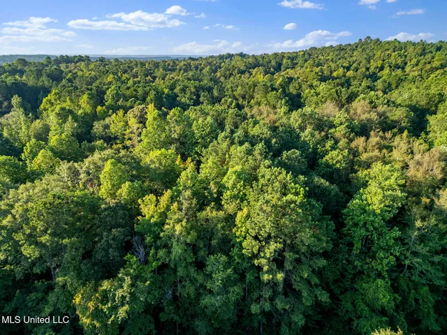 $29,900 | Oxford Road, Lauderdale, MS 39335