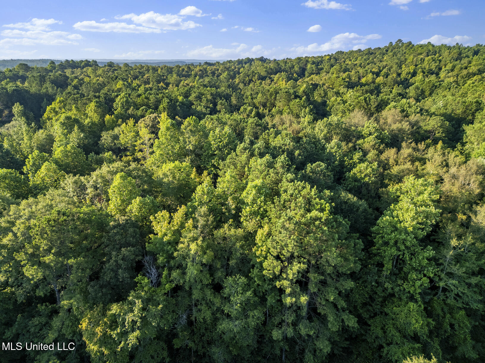 Oxford Road Lauderdale, MS 39335 - Photo 4 of 9 Photo Aug 04 2025, 10 03 09 AM