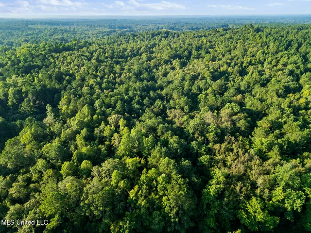 $29,900 | Oxford Road, Lauderdale, MS 39335