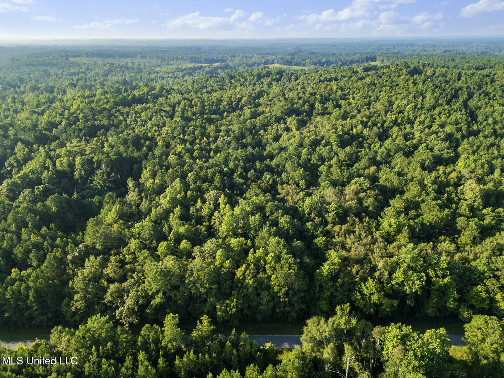 Oxford Road Lauderdale, MS 39335 - Photo 7 of 9 Photo Aug 04 2025, 10 04 00 AM