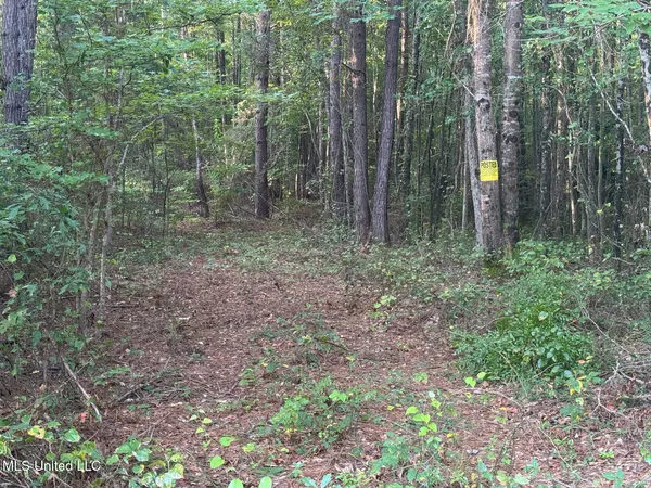 $29,900 | Oxford Road, Lauderdale, MS 39335
