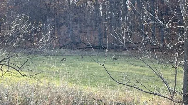 $130,000 | Lt2 South Clark Street, Mayville, WI 53050