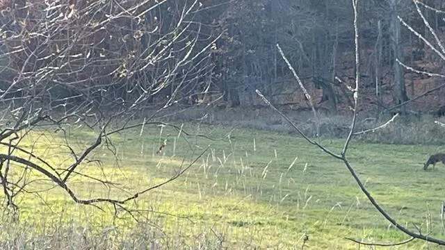 $130,000 | Lt2 South Clark Street, Mayville, WI 53050