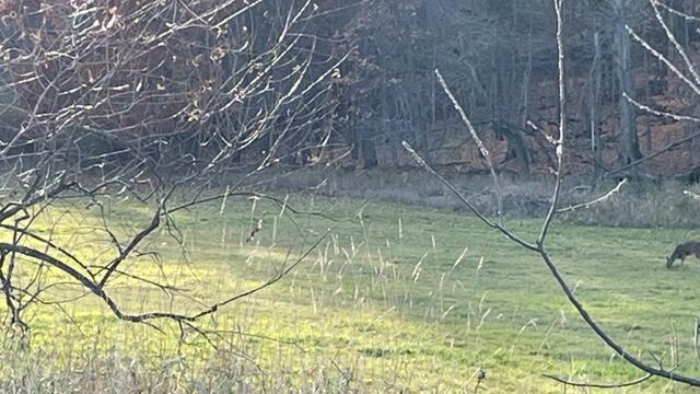 Lt2 South Clark Street Mayville, WI 53050 - Photo 2 of 13 IMG_6760