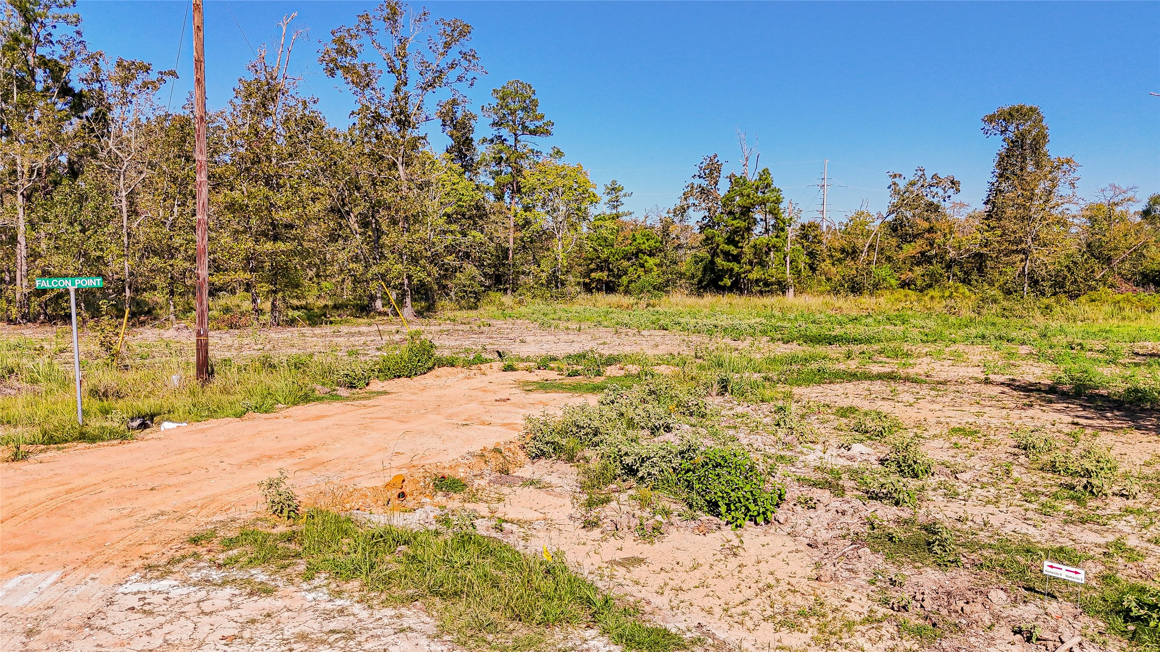 16 Falcon Point Onalaska, TX 77360 - Photo 5 of 6