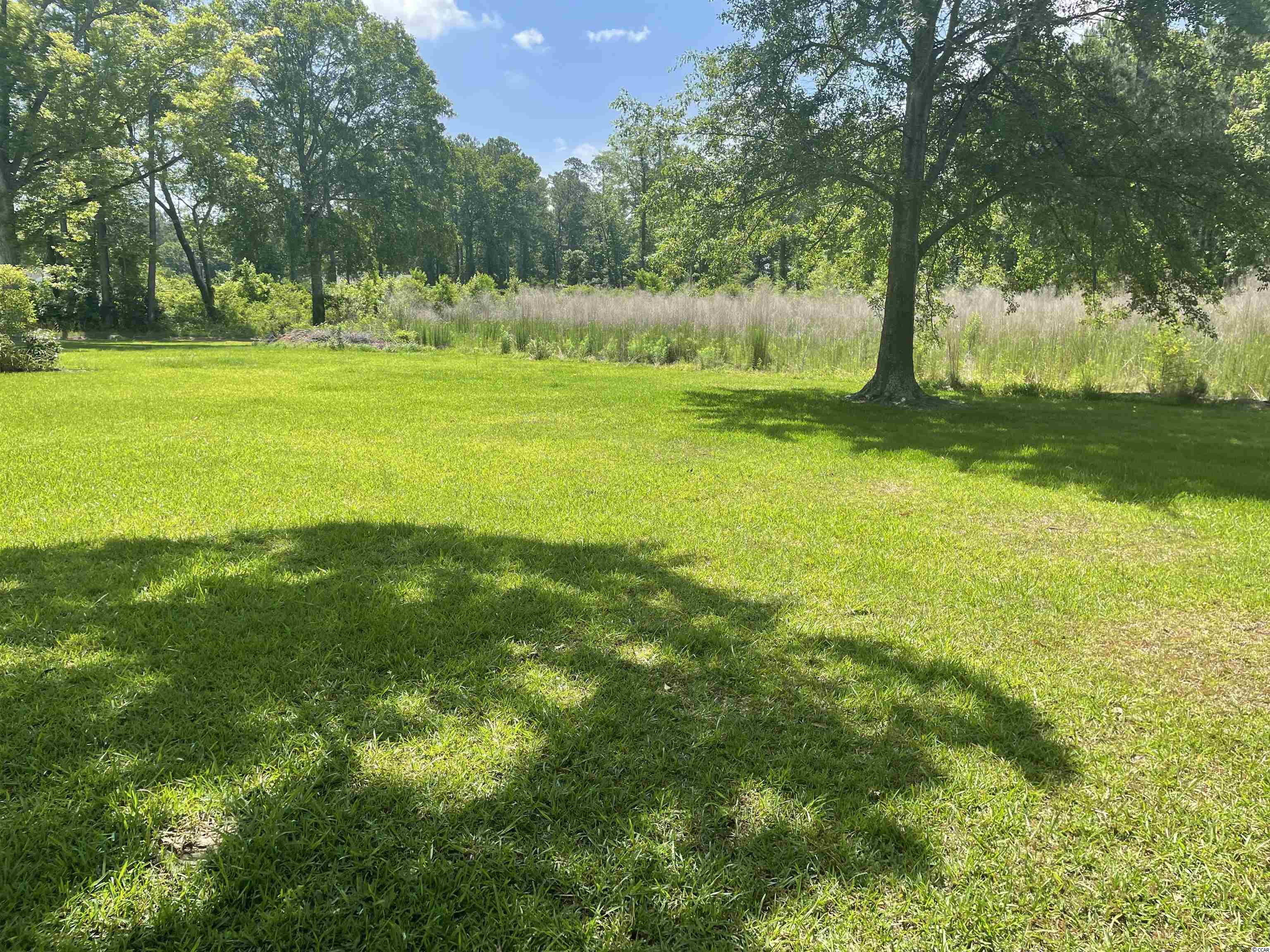 Tbd Sparrow Lane Loris, SC 29569 - Photo 1 of 7