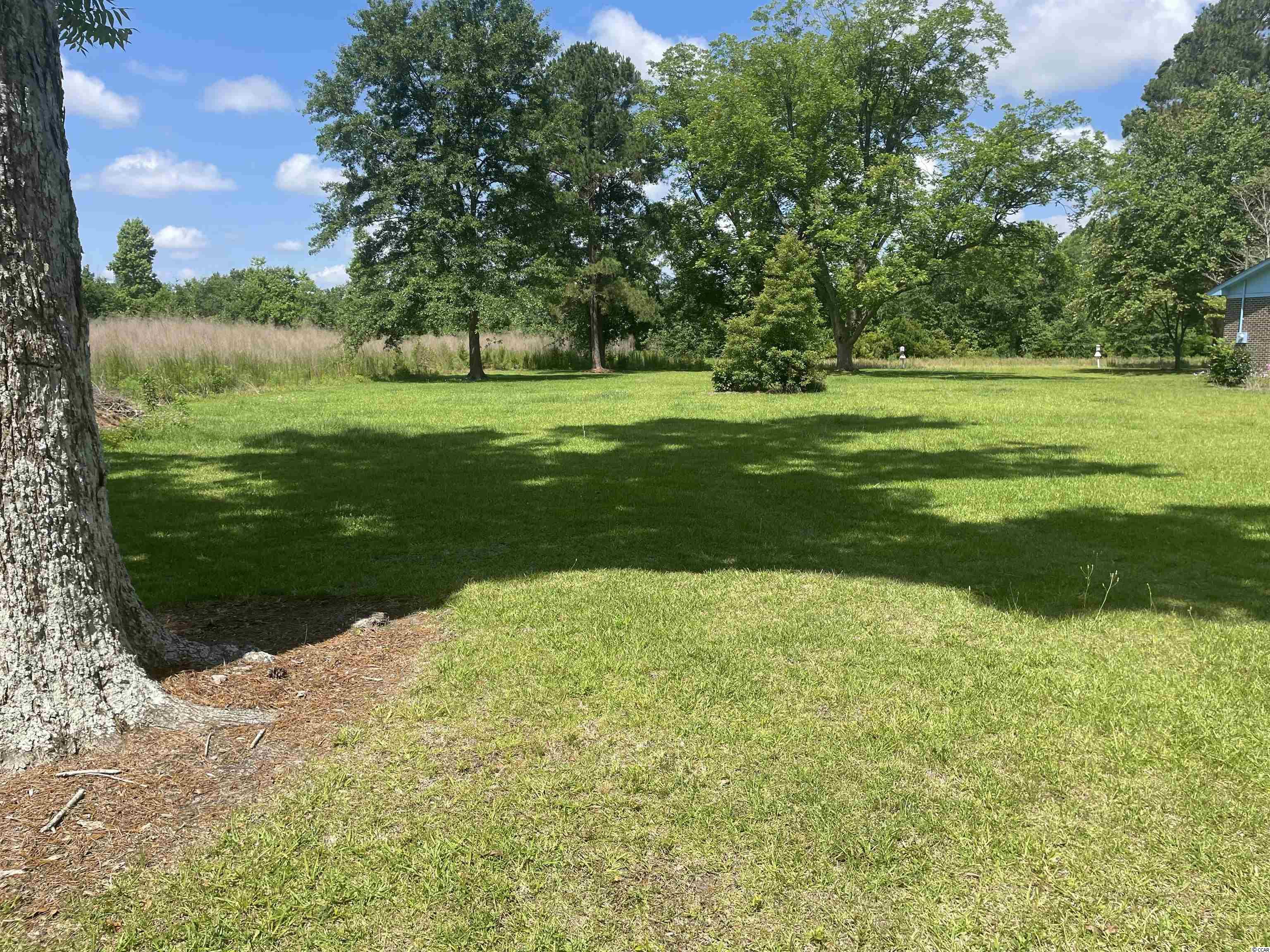 Tbd Sparrow Lane Loris, SC 29569 - Photo 3 of 7