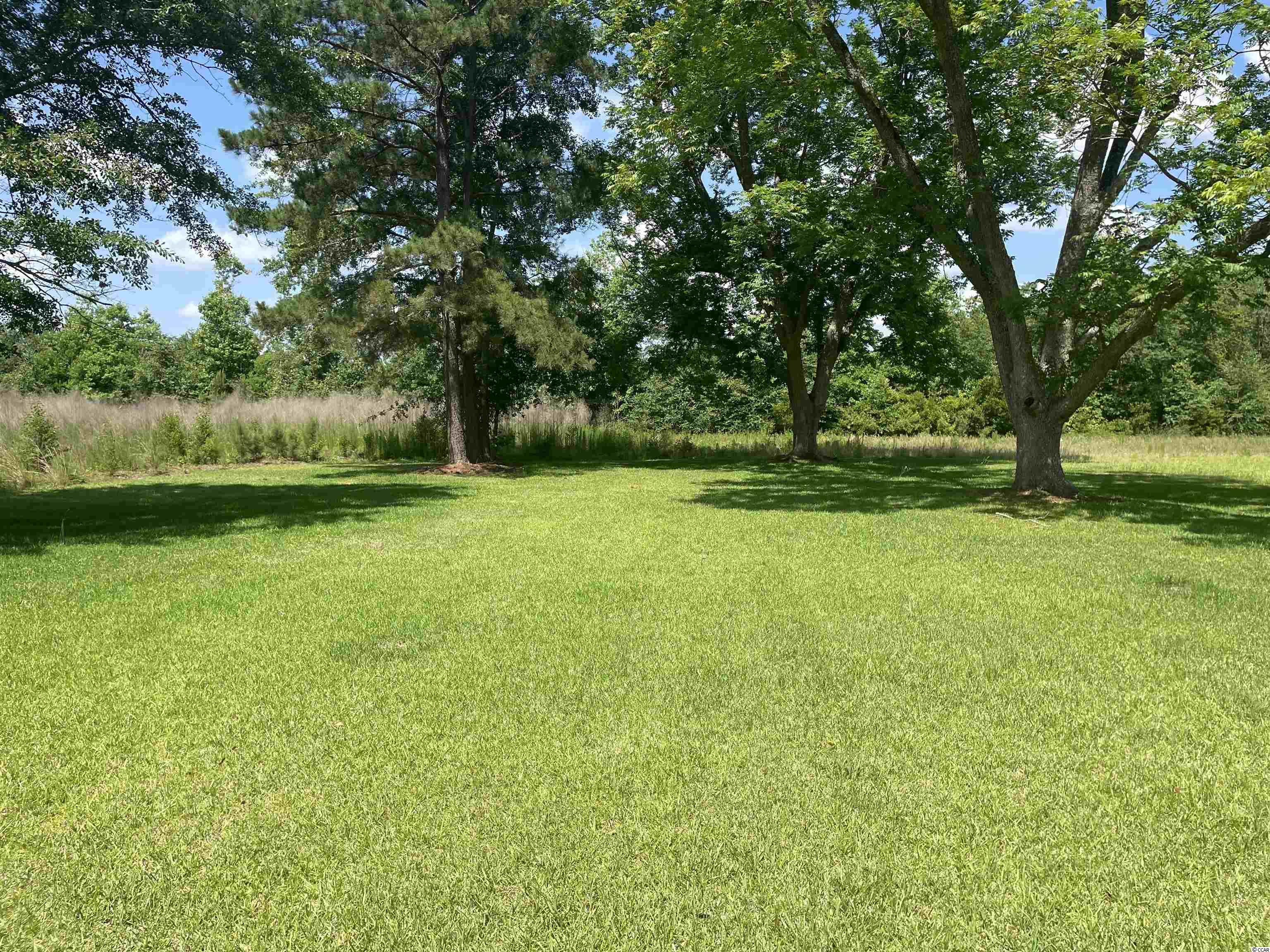 Tbd Sparrow Lane Loris, SC 29569 - Photo 4 of 7