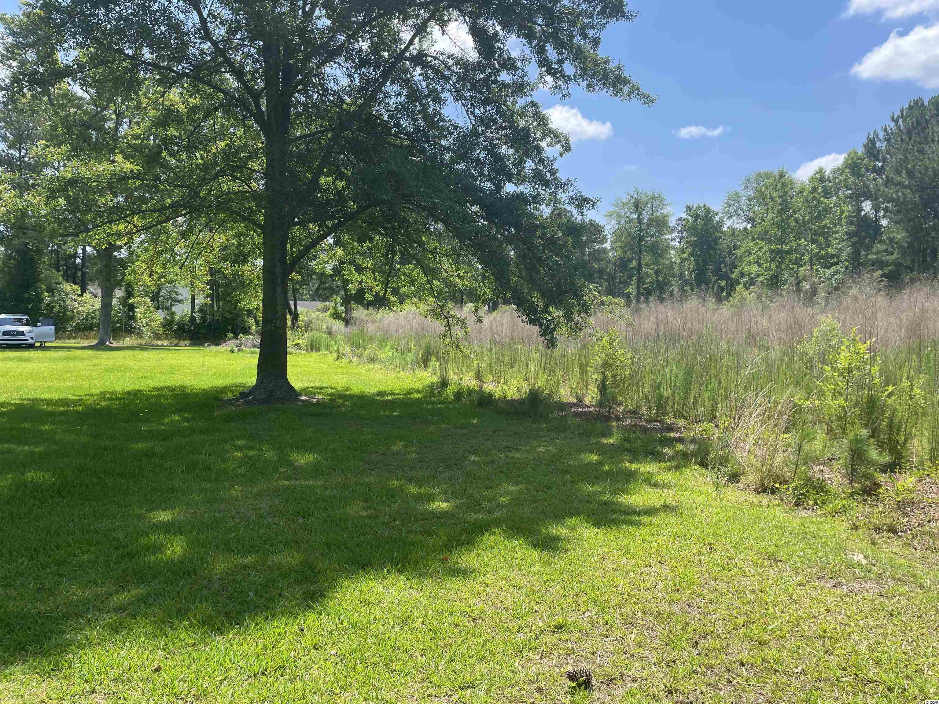 Tbd Sparrow Lane Loris, SC 29569 - Photo 5 of 7