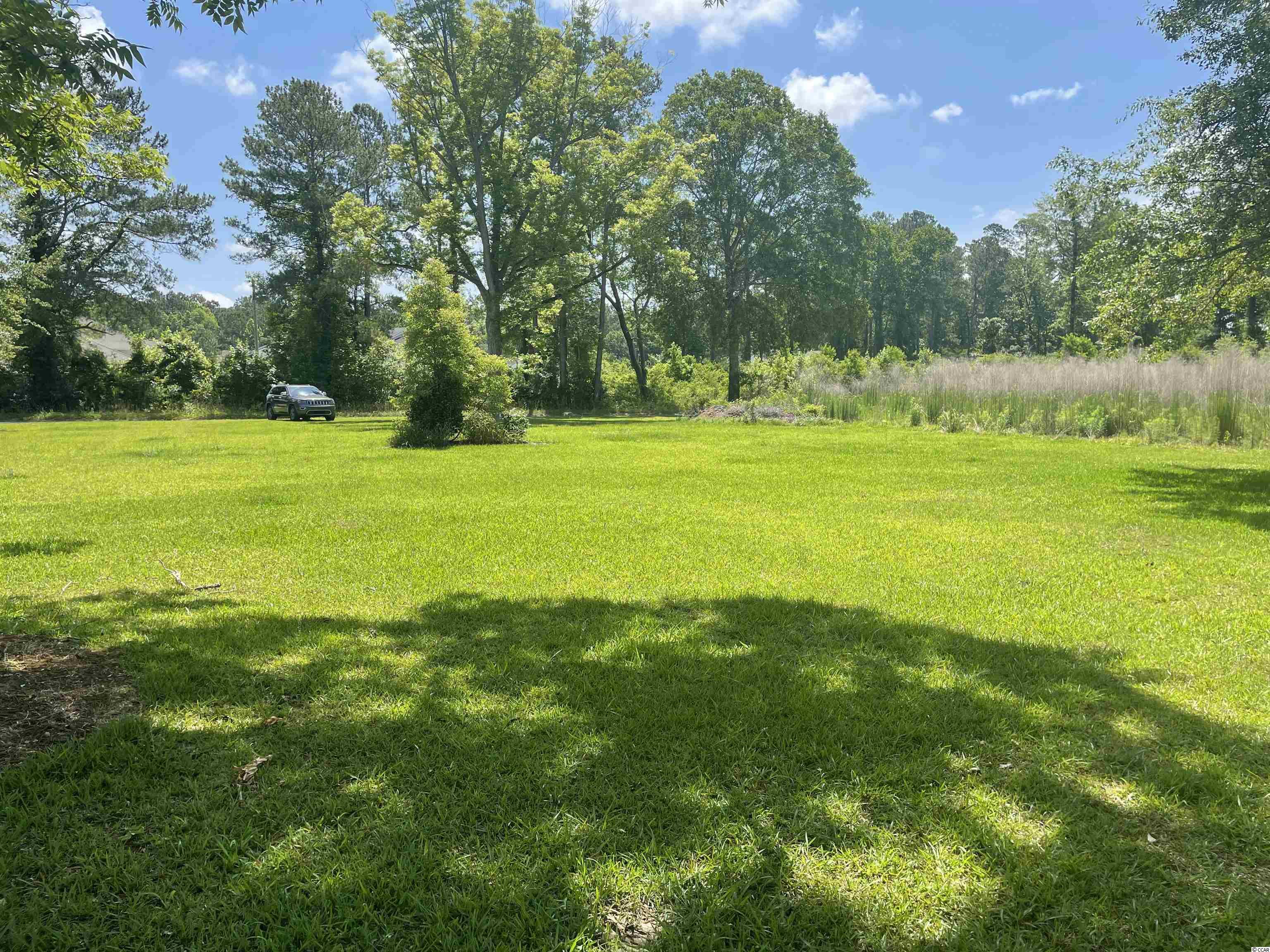 Tbd Sparrow Lane Loris, SC 29569 - Photo 6 of 7