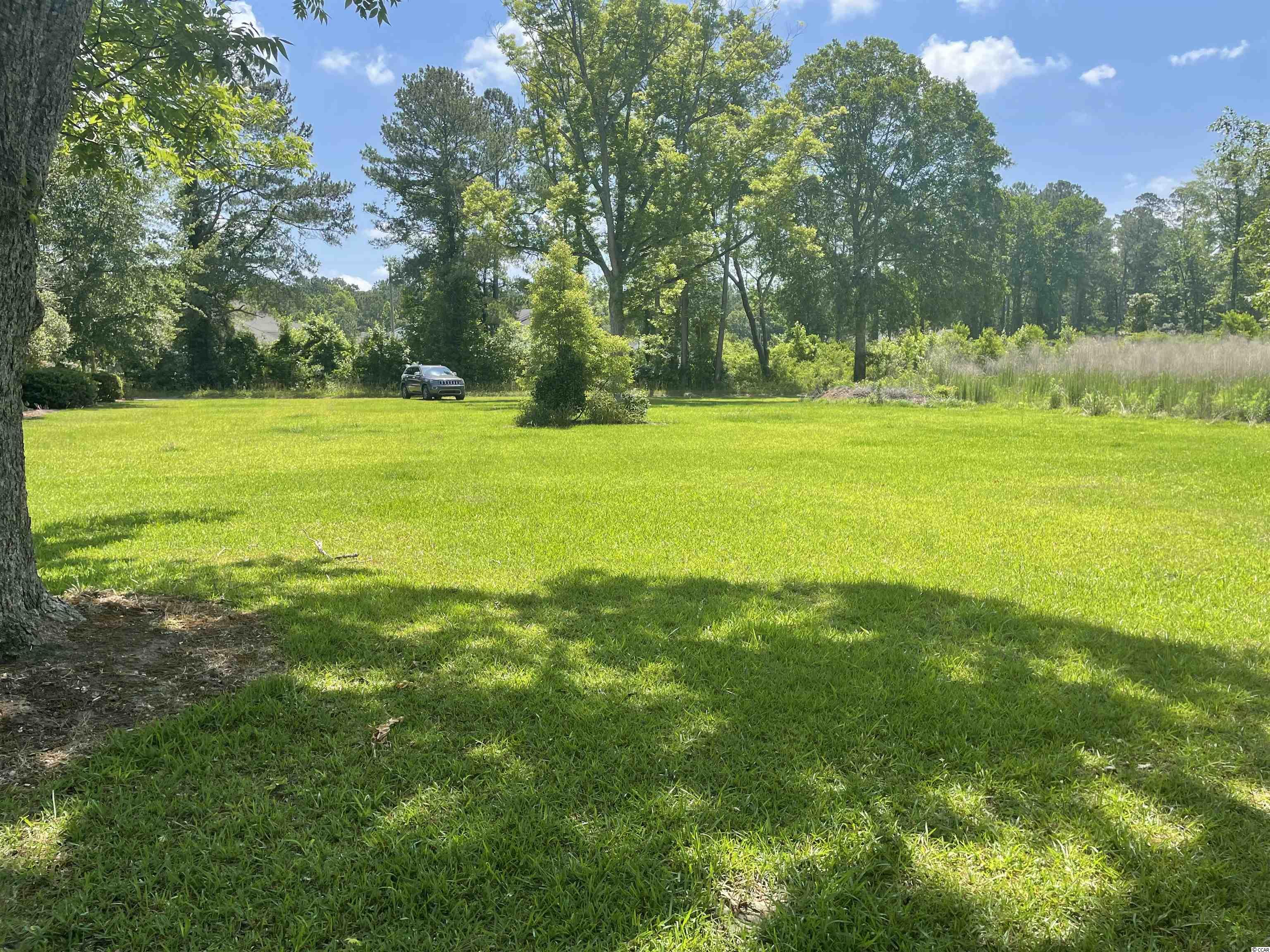 Tbd Sparrow Lane Loris, SC 29569 - Photo 7 of 7