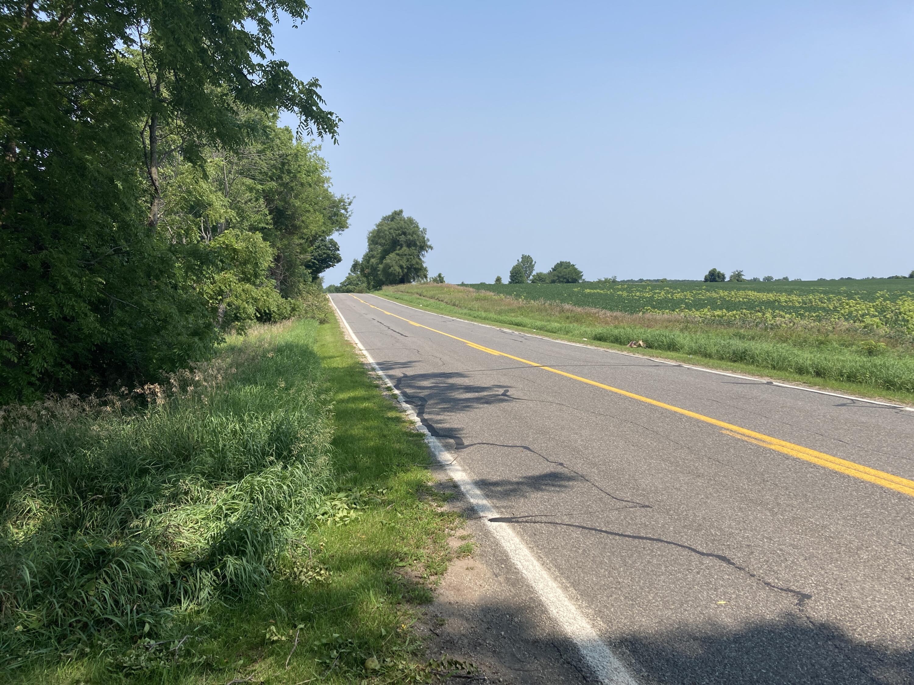 Lot A Usborne Road Freeport, MI 49325 - Photo 17 of 17 IMG_6006