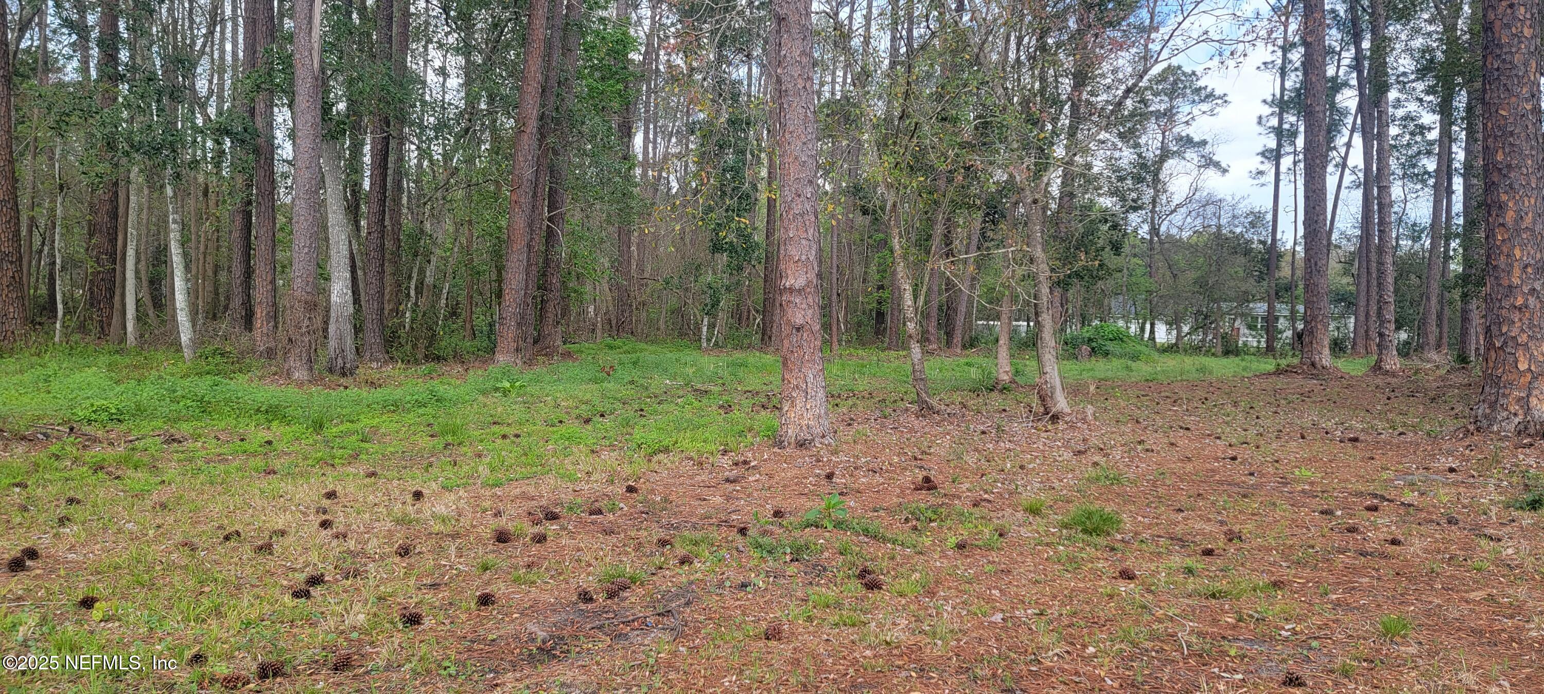 0 Fraser Road Jacksonville, FL 32246 - Photo 1 of 3 lot from Fraser