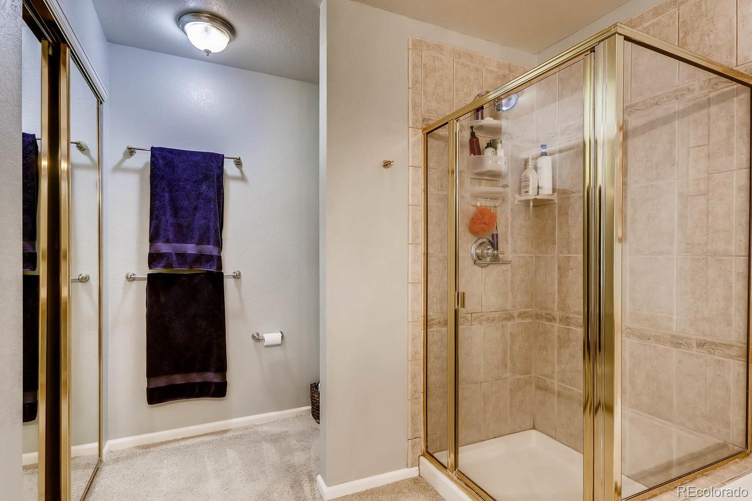 6508 Trailhead Road Highlands Ranch, CO 80130 - Photo 20 of 28