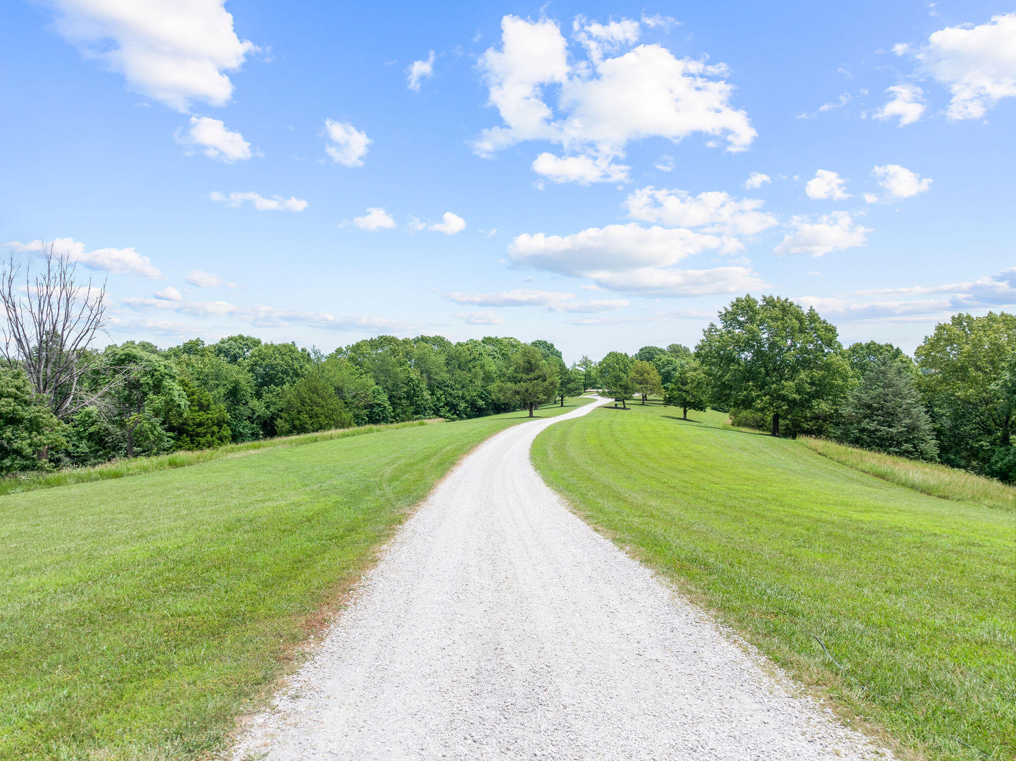 1155 Highway 160 Reeds Spring, MO 65737 - Photo 53 of 74 DJI_20250627125236_0053_D