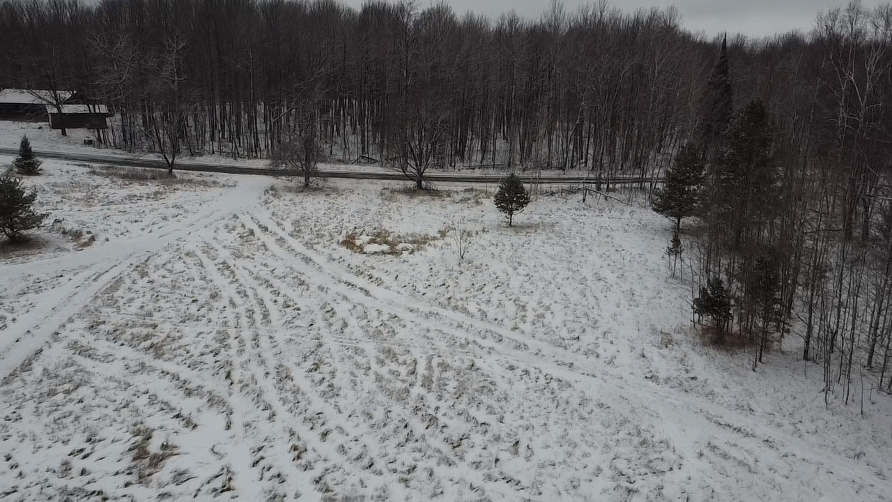 5473 Starks Settlement Road Laona, WI 54541 - Photo 9 of 15 Gallery Image 9