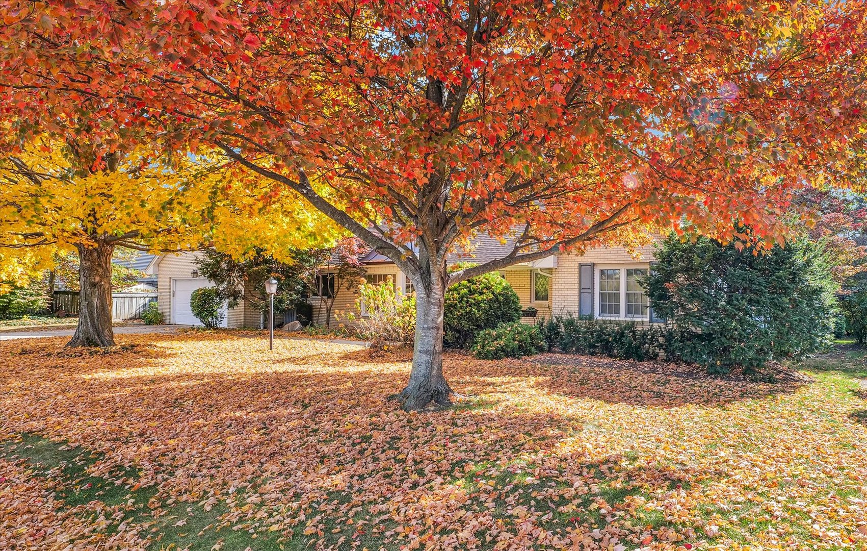 3 Lake Park Road Urbana, IL 61802 - Photo 4 of 56