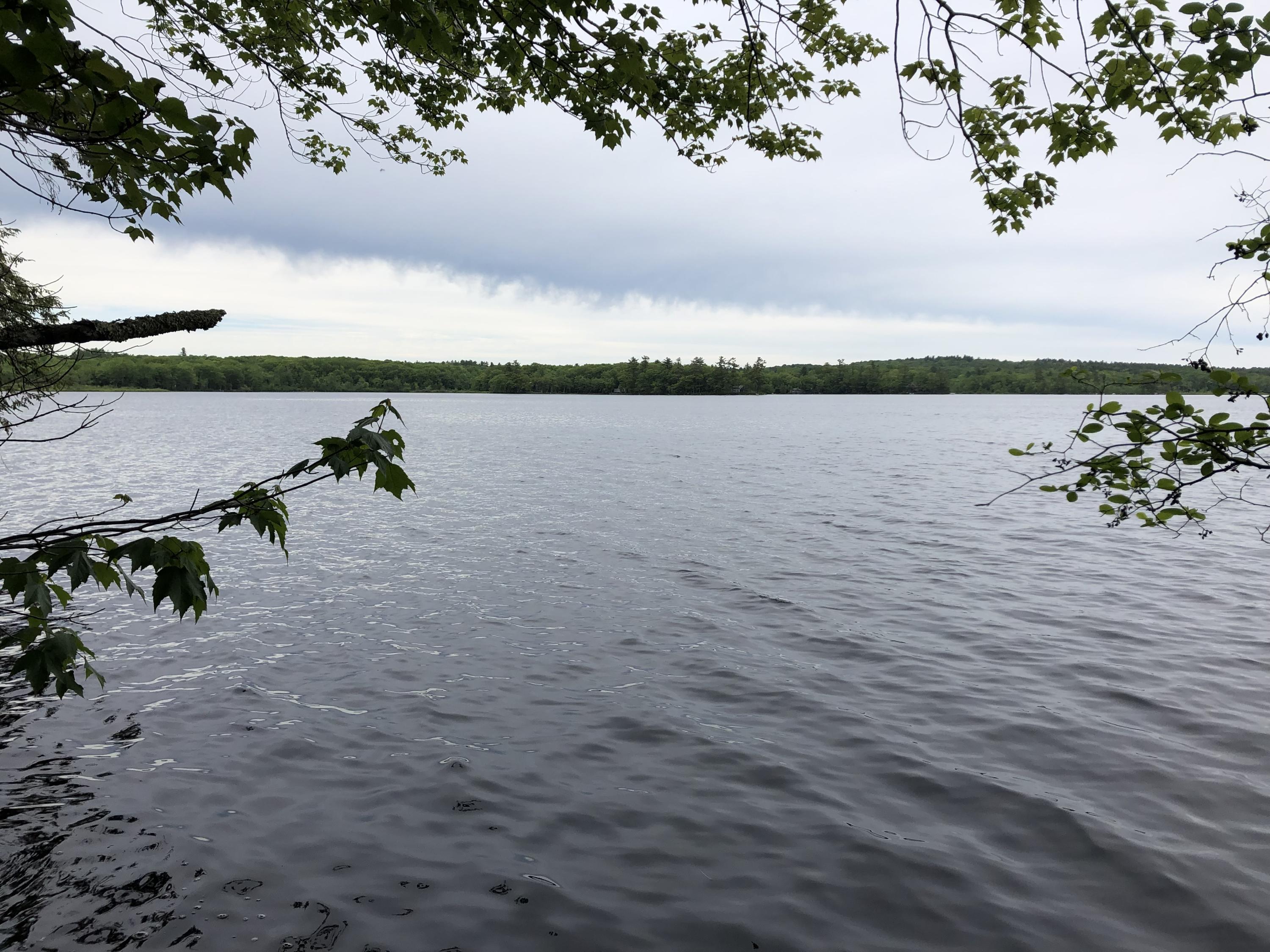 0 Albin Road Searsmont, ME 04973 - Photo 9 of 21 IMG_2656