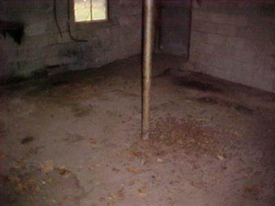 317 Bridge Road Allegan, MI 49010 - Photo 4 of 14 Additional Photo