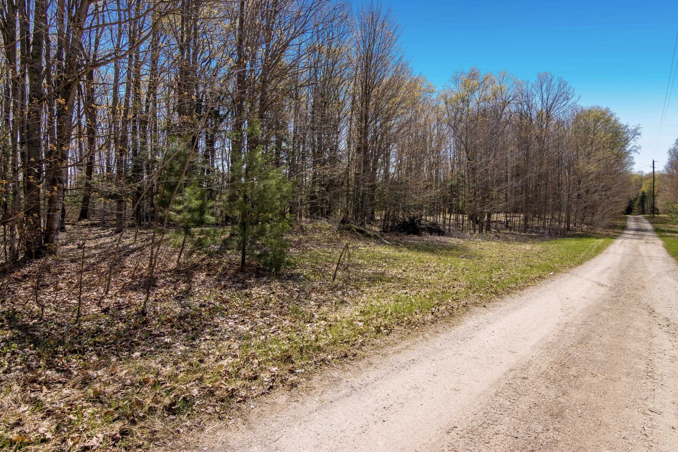 2 Woodland Trail, Unit PARCEL 2 Cedar, MI 49621 - Photo 1 of 19