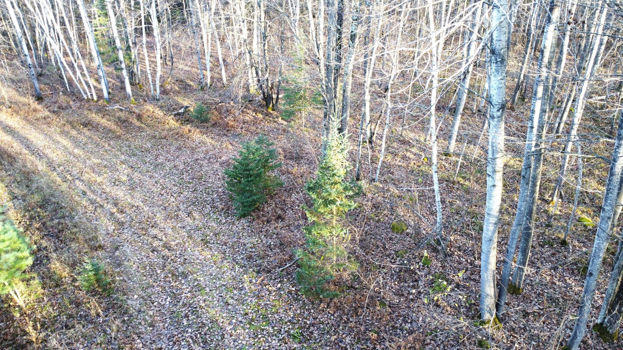 N9640 Sunset Point Road Tomahawk, WI 54487 - Photo 45 of 63 Gallery Image 45