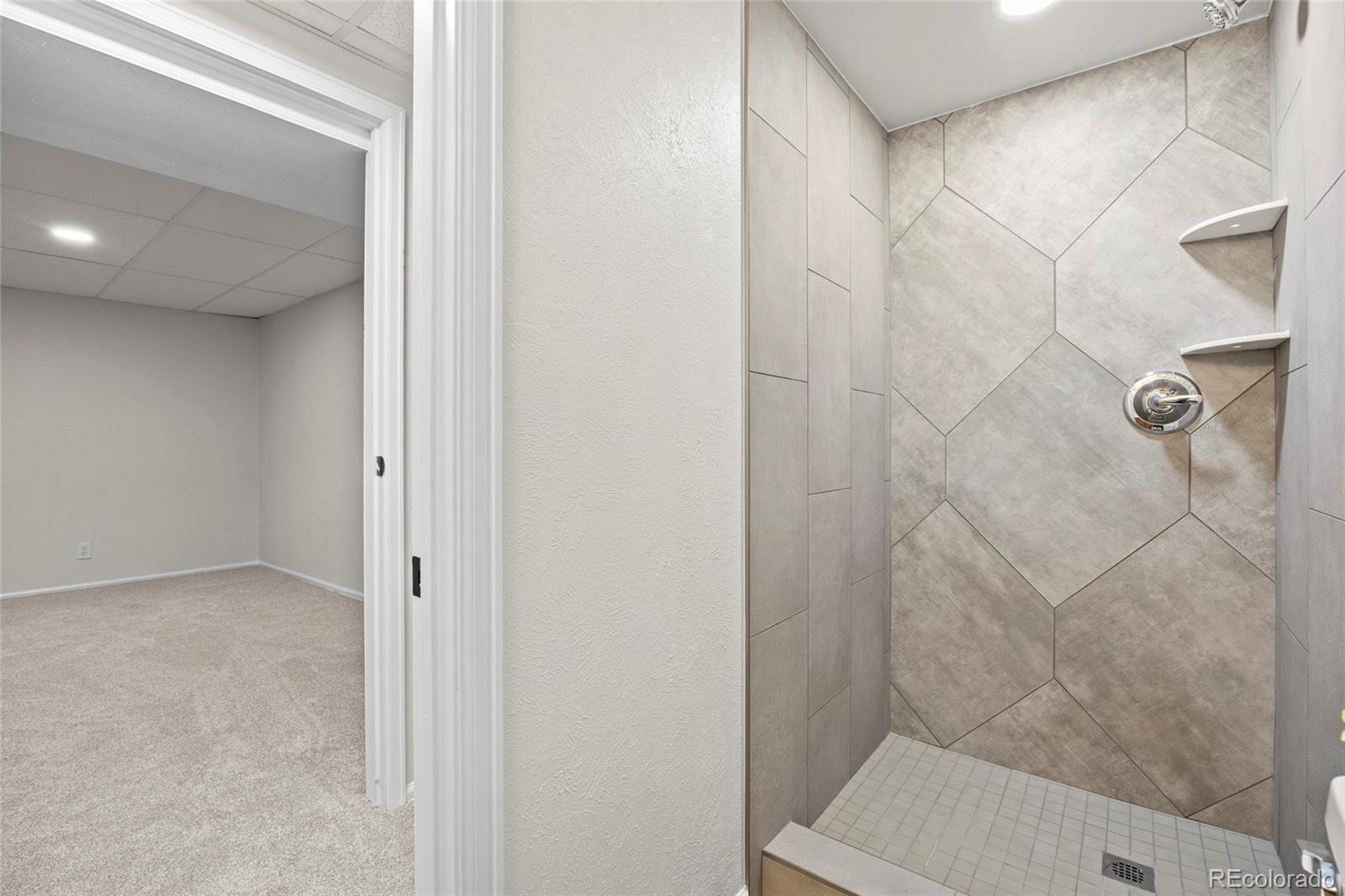 635 Ridgeglen Way Highlands Ranch, CO 80126 - Photo 29 of 43 Gallery Image 29