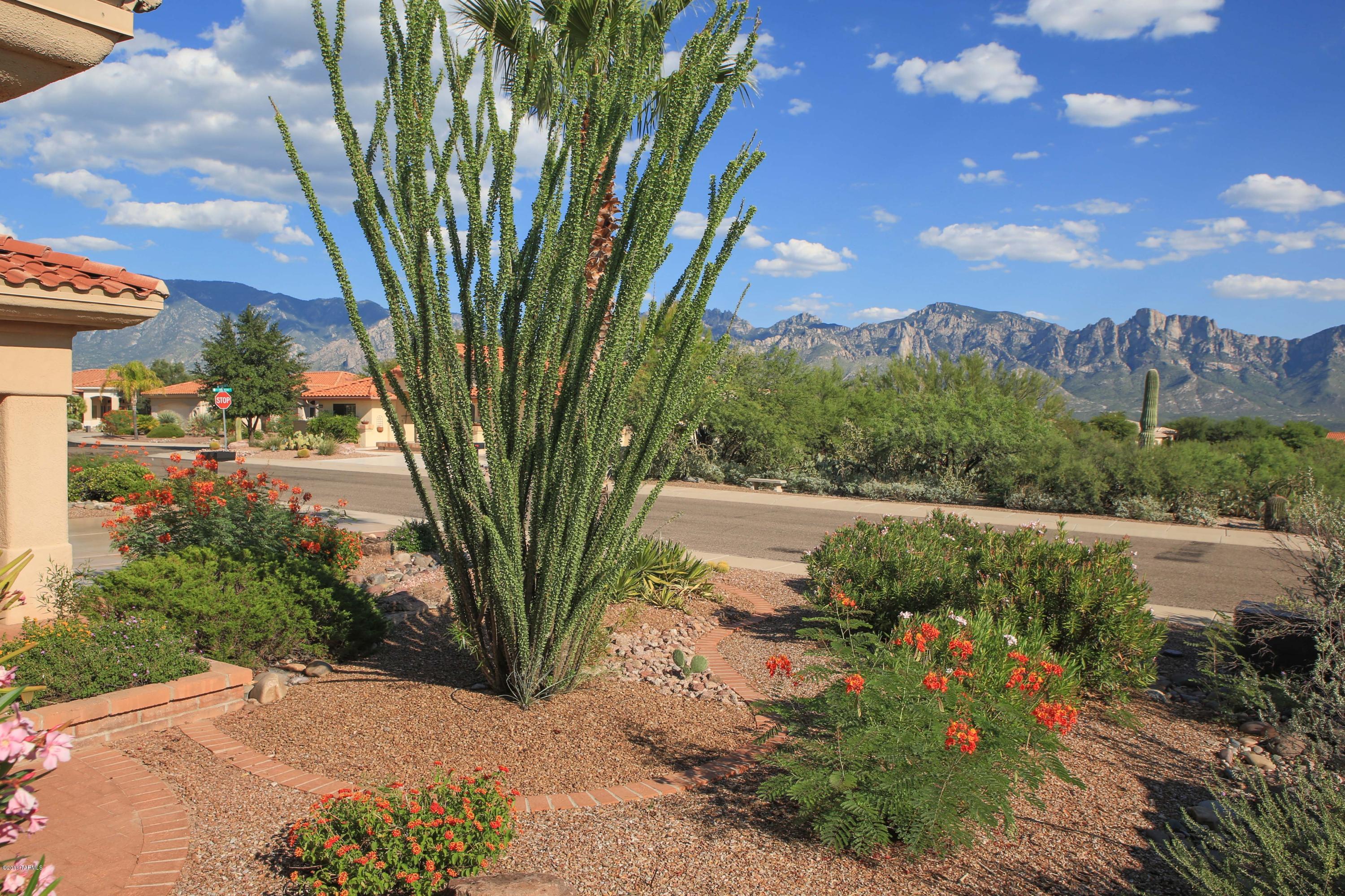1285 East Royal Oak Road Oro Valley, AZ 85755 - Photo 2 of 34