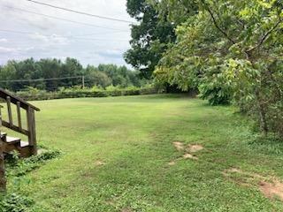 Back Valley side yard