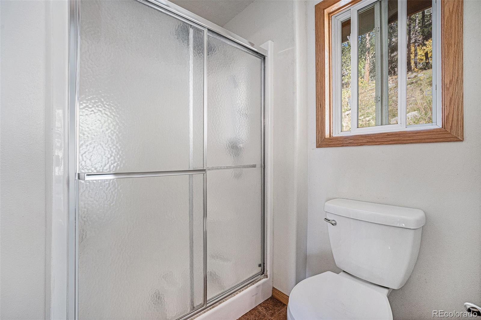 21795 Indian Springs Road Conifer, CO 80433 - Photo 17 of 29 a bathroom with a toilet and a shower