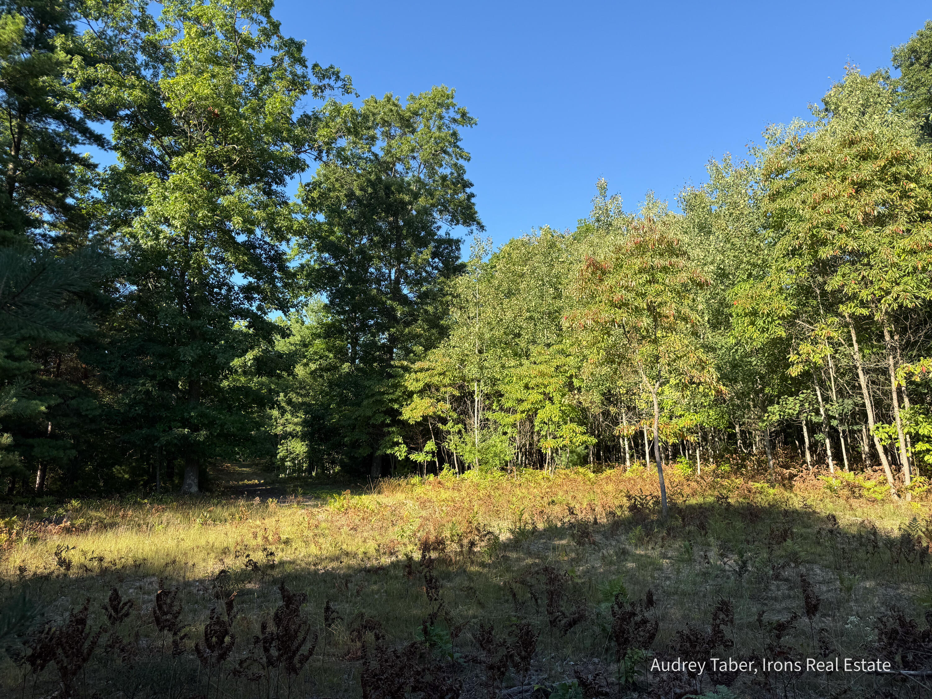 2 Clements Road Kaleva, MI 49645 - Photo 21 of 56 ClementsRd-64