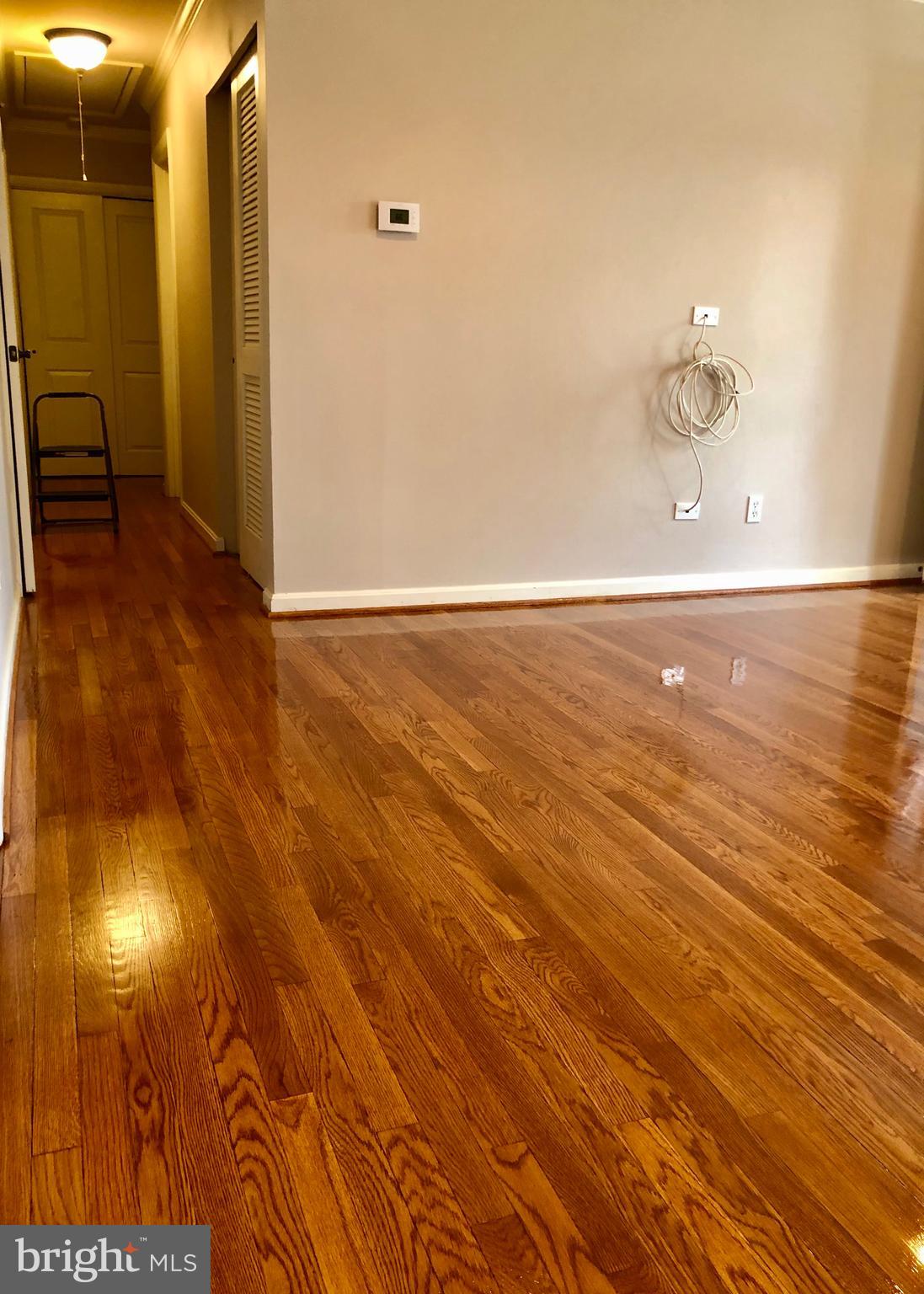 6602 Custer Street Springfield, VA 22150 - Photo 13 of 22 One level living property