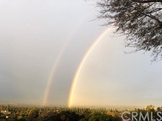 12419 Honolulu Terrace Whittier, CA 90601 - Photo 36 of 59 a view of a lake in middle of forest