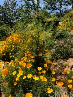 12419 Honolulu Terrace Whittier, CA 90601 - Photo 39 of 59