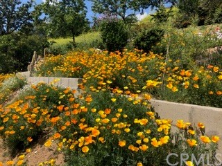 12419 Honolulu Terrace Whittier, CA 90601 - Photo 40 of 59