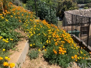 12419 Honolulu Terrace Whittier, CA 90601 - Photo 41 of 59