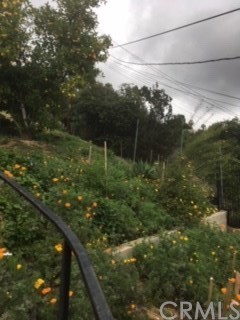 12419 Honolulu Terrace Whittier, CA 90601 - Photo 52 of 59 a view of yard