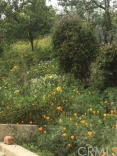 12419 Honolulu Terrace Whittier, CA 90601 - Photo 53 of 59