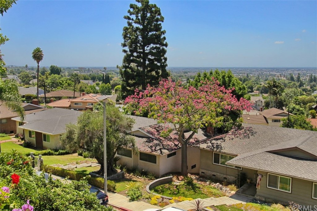 12419 Honolulu Terrace Whittier, CA 90601 - Photo 57 of 59 a view of a garden with plants