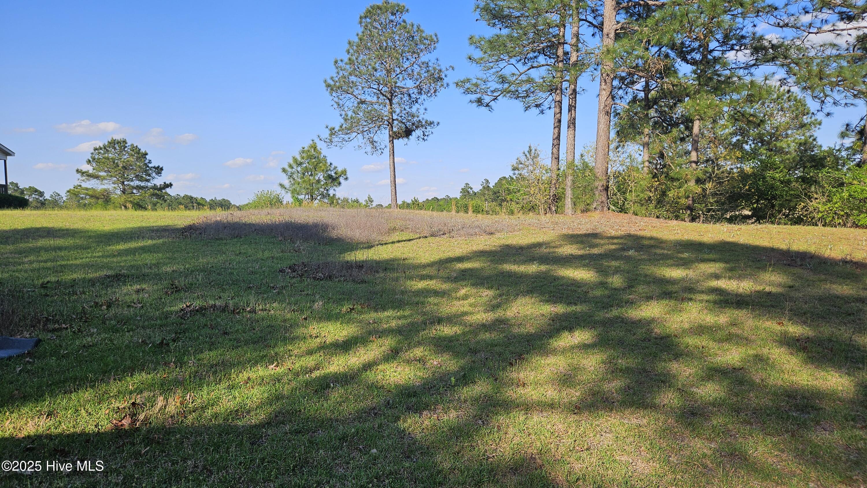1 Old Tom Morris Road Garland, NC 28441 - Photo 2 of 6 20250408_172517