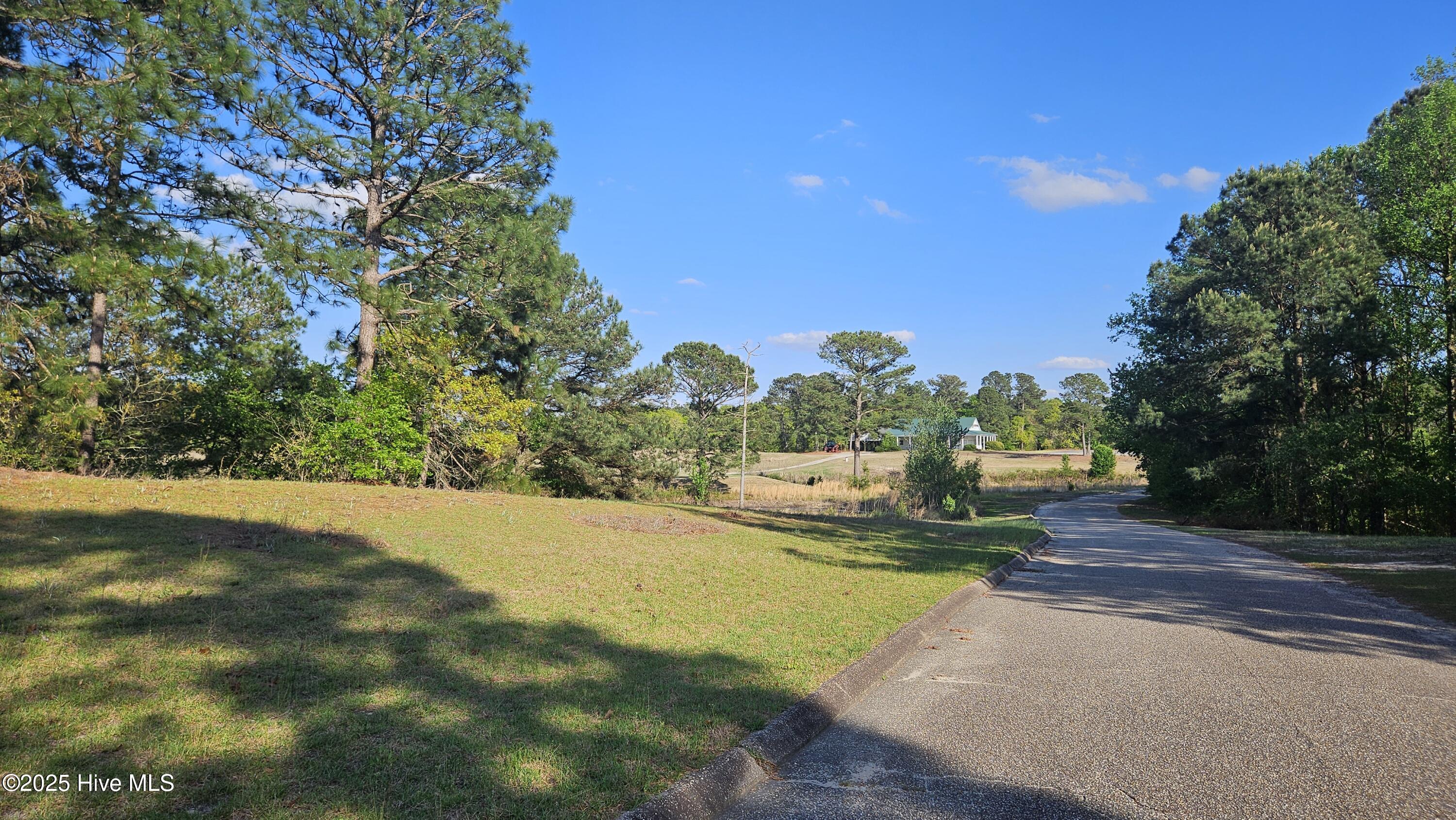 1 Old Tom Morris Road Garland, NC 28441 - Photo 3 of 6 20250408_172521
