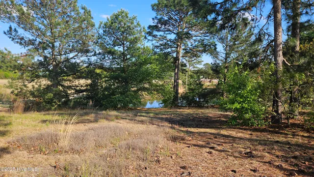 $24,000 | 1 Old Tom Morris Road, Garland, NC 28441