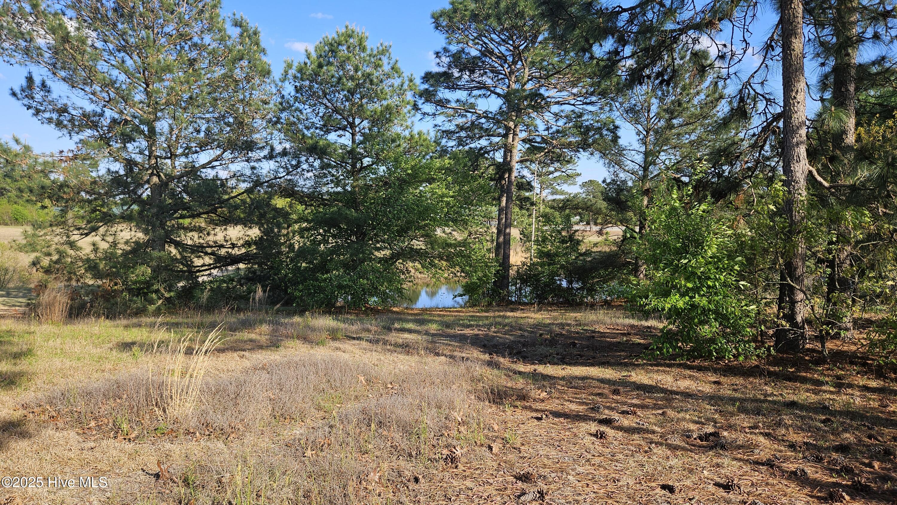 1 Old Tom Morris Road Garland, NC 28441 - Photo 4 of 6 20250408_172608