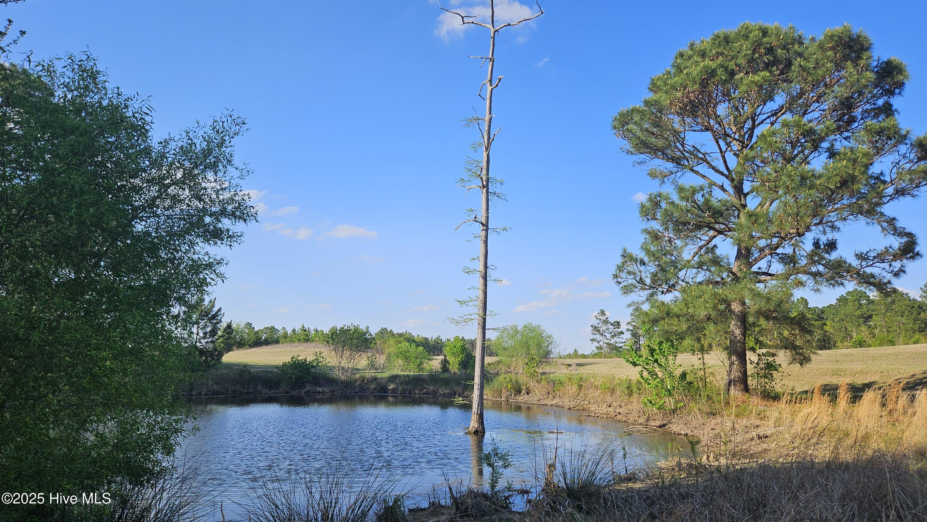 1 Old Tom Morris Road Garland, NC 28441 - Photo 6 of 6 20250408_173213