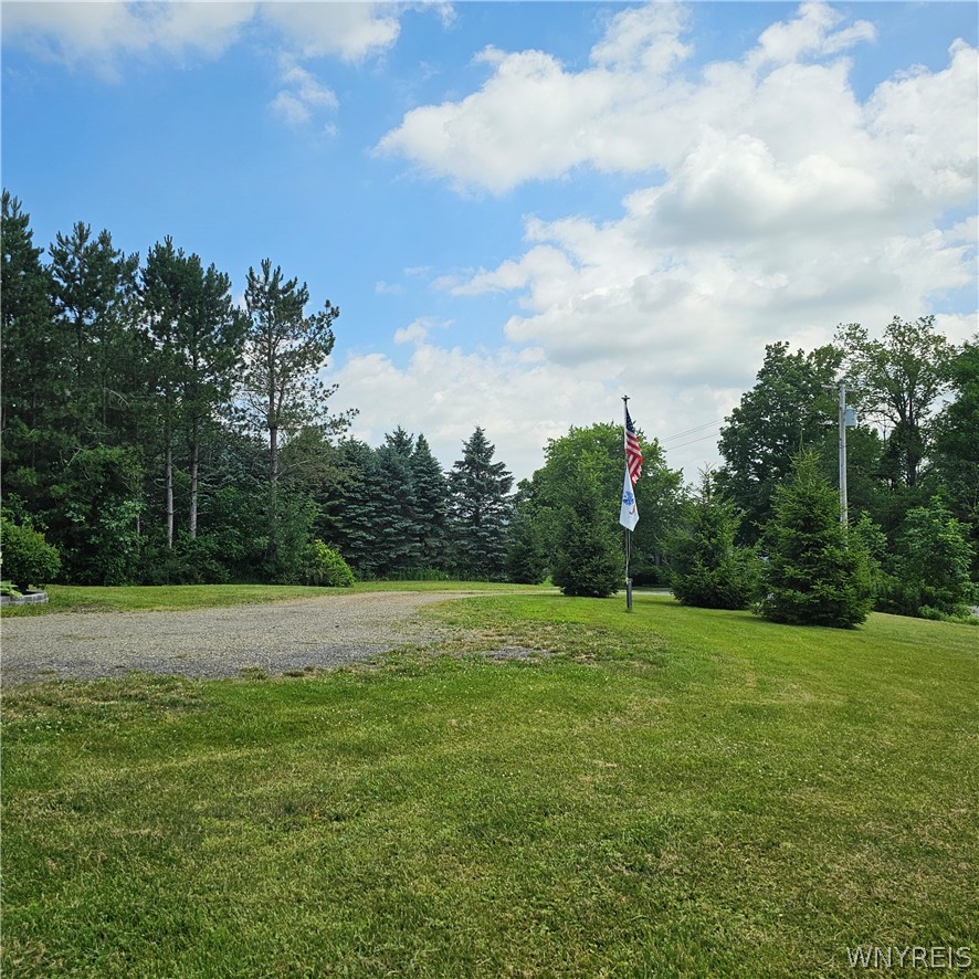 10248 Clarksburg Road North Collins, NY 14057 - Photo 25 of 35