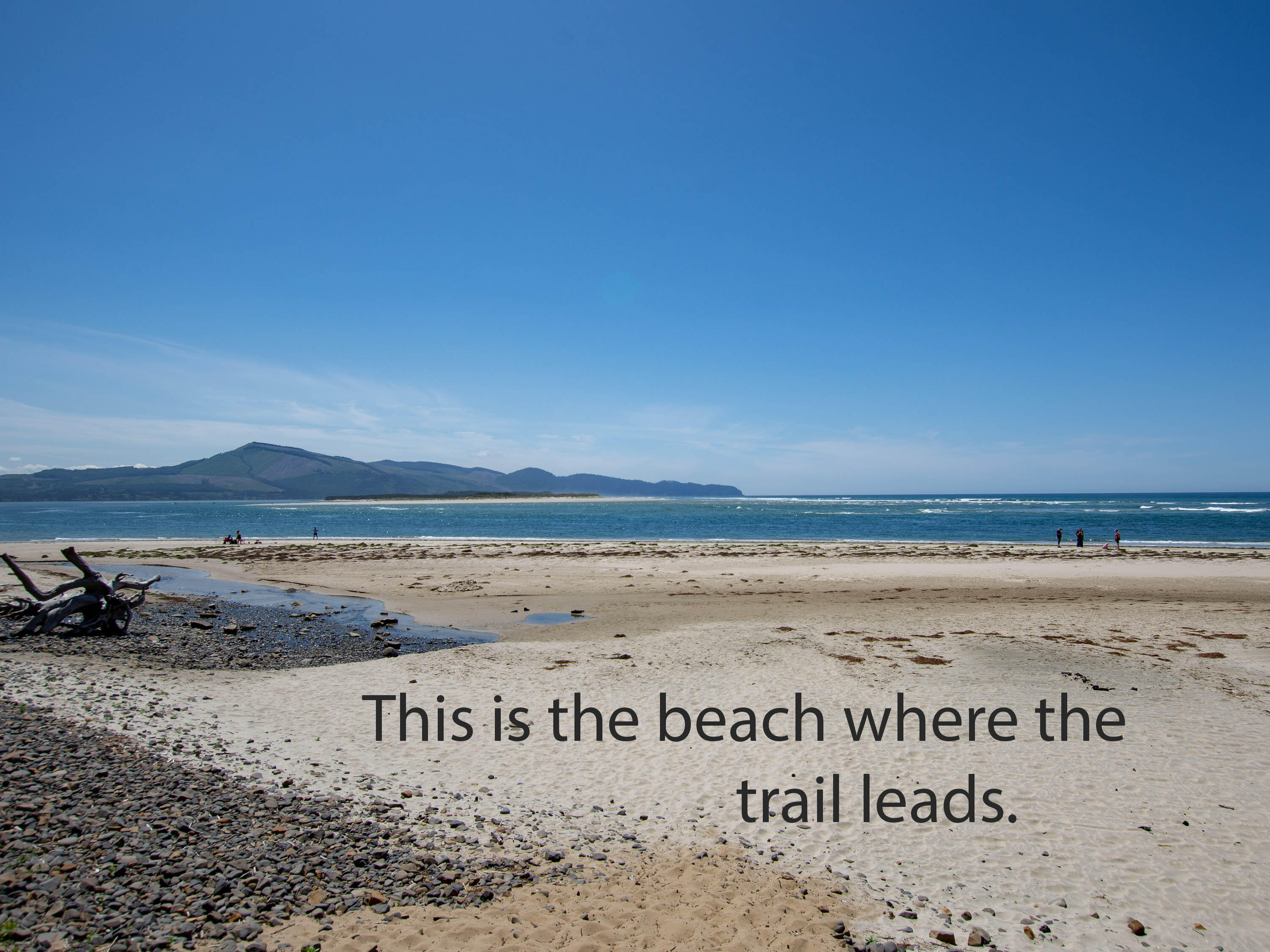 Lot 1 Netarts Street Tillamook, OR 97141 - Photo 14 of 14 beach at end of trail