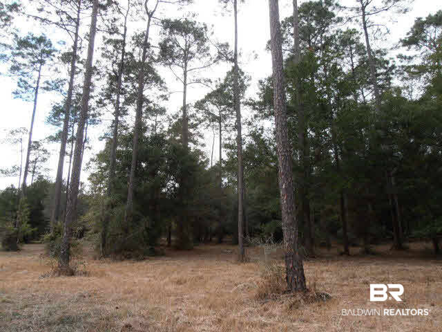 29409 Archie Road Elberta, AL 36530 - Photo 17 of 20 Northwest section