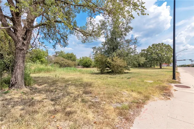 a view of yard with green space