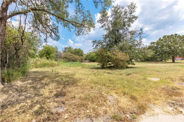 a view of yard with green space