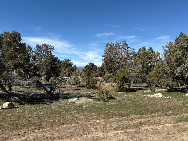 1 Old Highway 89, Unit 1 Spring City, UT 84662 - Photo 5 of 6