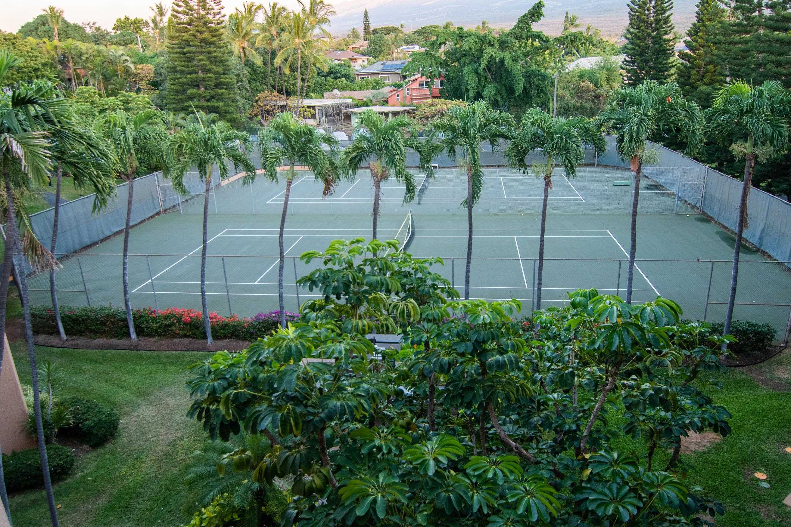 2191 South Kihei Road, Unit 2317 Kihei, HI 96753 - Photo 20 of 30 a view of a backyard